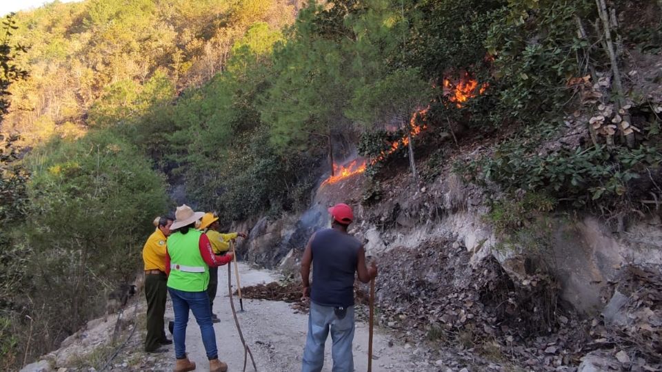 3 adultos y un menor perdieron la vida cuando combatían los incendios