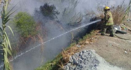 Continúan los incendios en México junto a la onda de calor