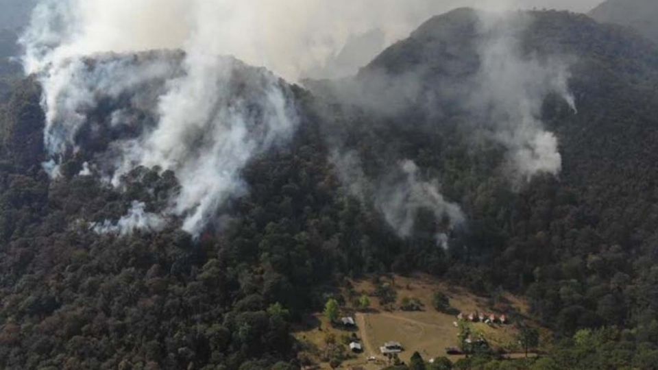 Este miércoles 20 de abril se han cumplido 33 días desde que comenzó el incendio forestal en Tamaulipas