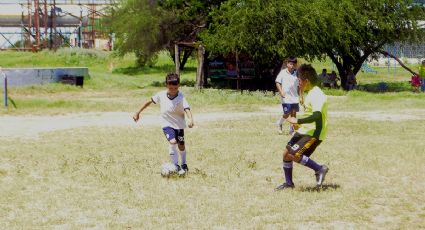 Invitan a participar  en la Liga Independiente Colosso