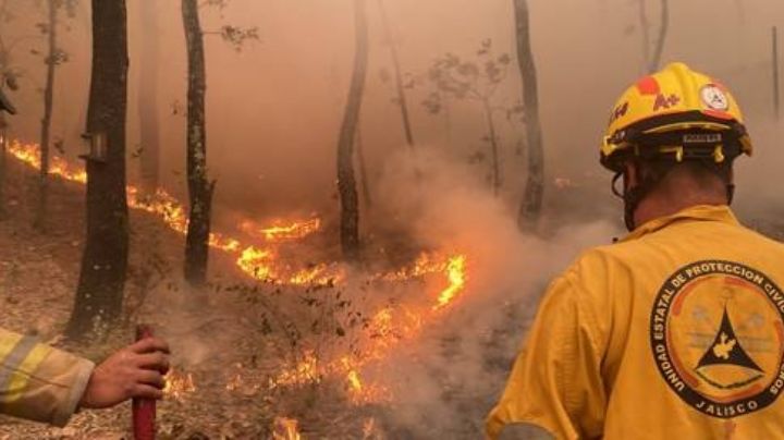 ¡Al fin! terminan las llamas en la biósfera de "El Cielo" después de 36 días: Conafor