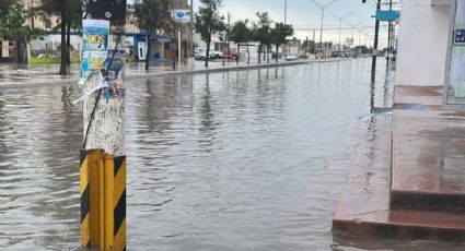 Intensas lluvias en Matamoros dejan colonias y avenidas bajo el agua