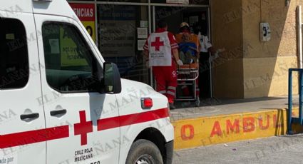 ¡Lamentable! Comerciante neoladerense muere al ser atacado por enjambre de abejas.