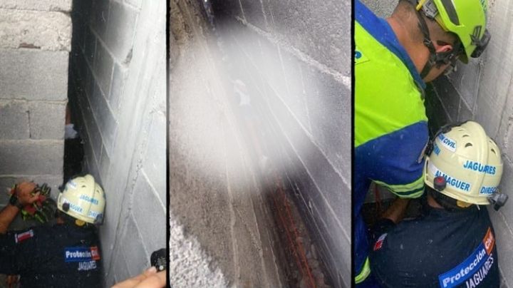 Niña queda atrapada entre dos paredes; quería rescatar unos gatitos