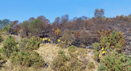 Muere brigadista voluntario en incendio forestal de Veracruz; era agricultor