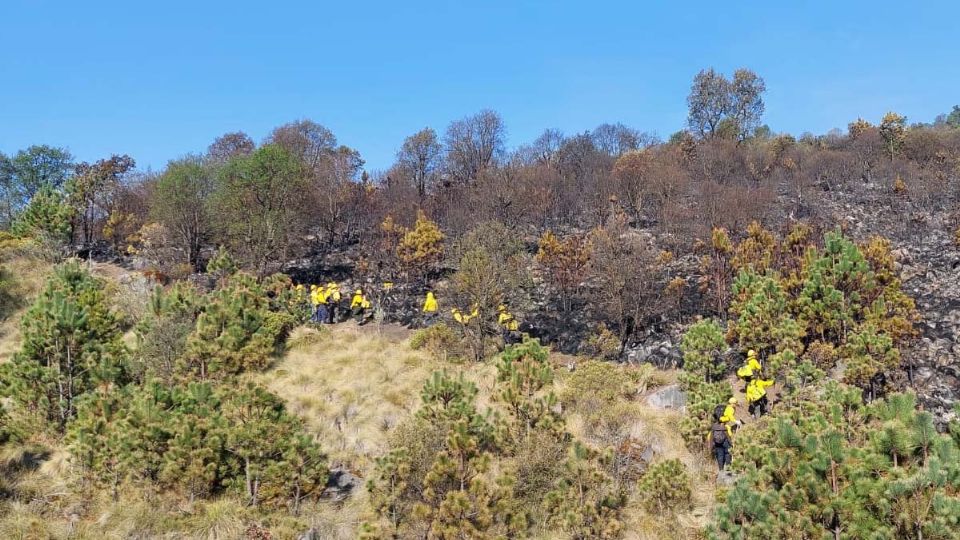 Muere brigadista voluntario que estaba combatiendo un incendio forestal en Veracruz