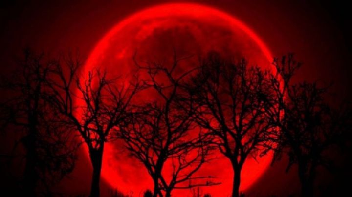 Luna de Sangre: ¿cuándo es y cómo se podrá apreciar el fenómeno astronómico?