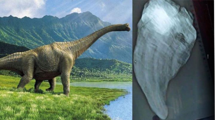 Niño descubre una garra de dinosaurio en el río El Roble, Tamaulipas