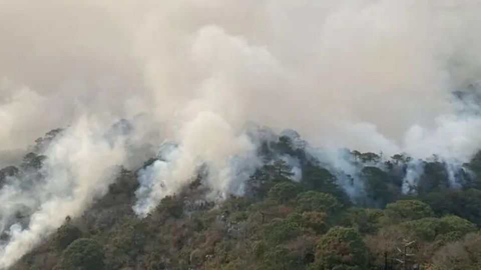 Nuevamente arde en la reserva ecológica