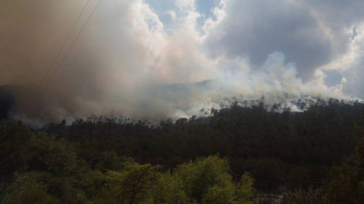 Incendio afecta autopista y carretera Monterrey a Saltillo