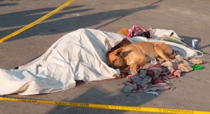 ¡Conmovedor! Perrito no se despega de su amigo quien murió fuera del metro en CDMX