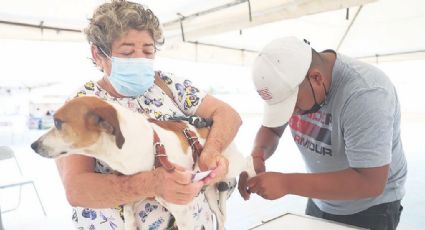 Llevan Brigada de Salud Mixta a colonia El Progreso