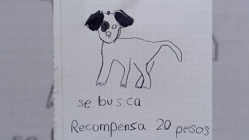 Hermanitas hacen dibujo del perrito y ofrecen recompensa de 20 pesos