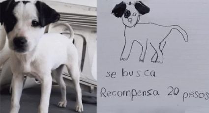 Hermanitas encuentran a su perrito gracias a tierno dibujo