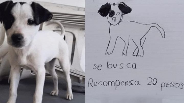 Hermanitas encuentran a su perrito gracias a tierno dibujo