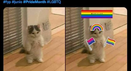 Inició junio el “Pride Month” y el internet se llenó de  memes el orgullo LGBT