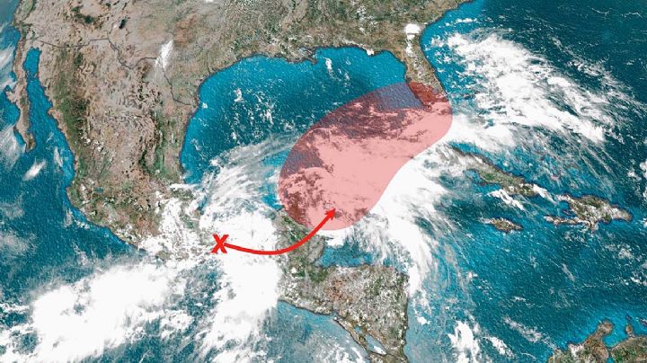 Tormenta "Alex" enfilaría hacia Florida durante los próximos días