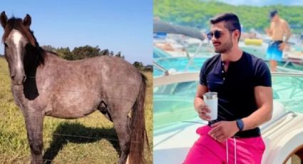 Joven alcoholizado gana un caballo en una subasta y ¡ya no sabe que hacer con él!