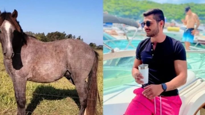 Joven alcoholizado gana un caballo en una subasta y ¡ya no sabe que hacer con él!
