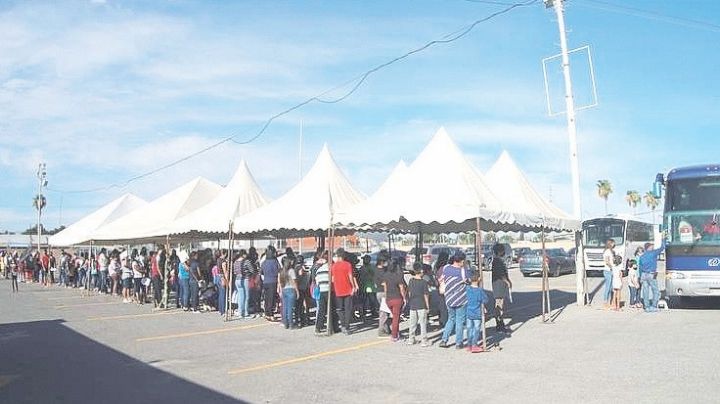 Vacunarán a bebés contra el Covid-19