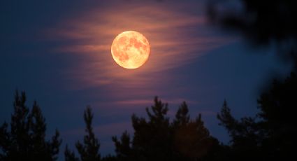 ¡No se te pase! Esta noche podrás disfrutar de la "Super Luna de fresa"