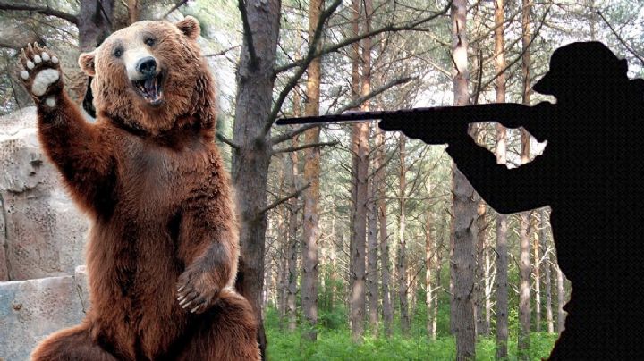 Karma instantáneo: Antes de morir, oso mata al cazador que le disparó