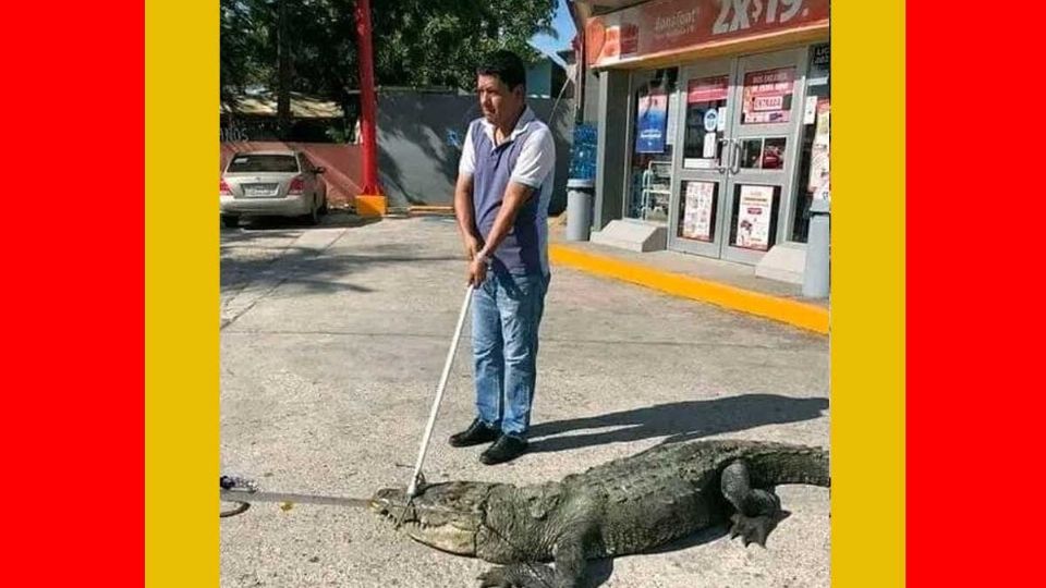 No le abren la segunda caja... ni la primera