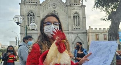Mujer recibe advertencia del municipio porque su gallo "canta muy fuerte"