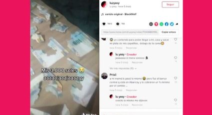 VIDEO Una rata se devora los ahorros de su vida
