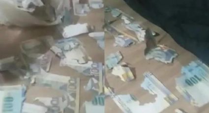 Video: Rata se comió más de 15 mil pesos, ¡eran los ahorros de una joven!