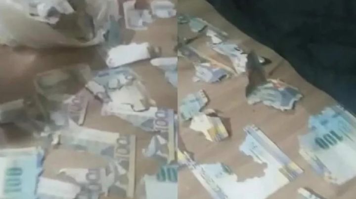 Video: Rata se comió más de 15 mil pesos, ¡eran los ahorros de una joven!