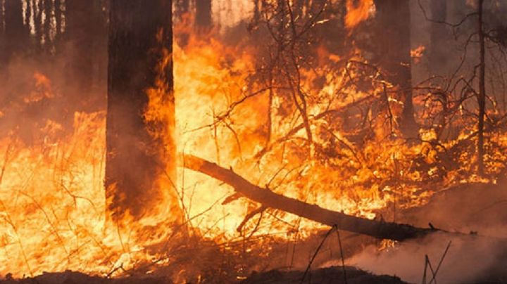 CONAFOR: Nuevamente aumentan los incendios forestales; reportan 32