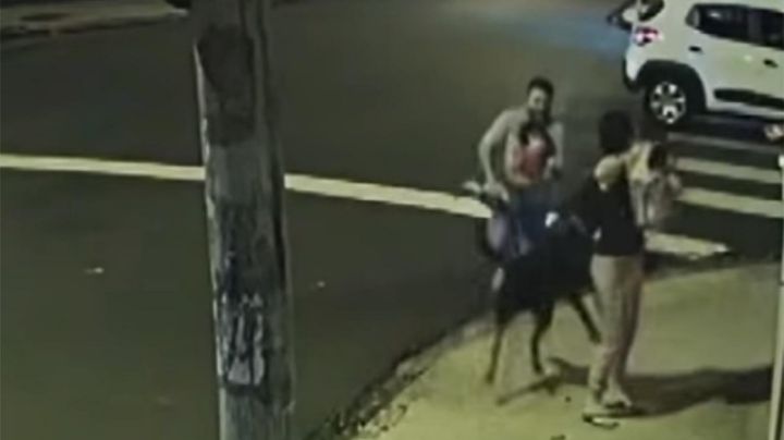 ¡De miedo! Perro salta de auto en movimiento y "ataca" a una mujer con niño en Brasil