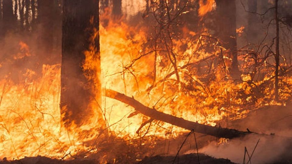 Este martes se han reportado 32 incendios en 13 estados de la República Mexicana