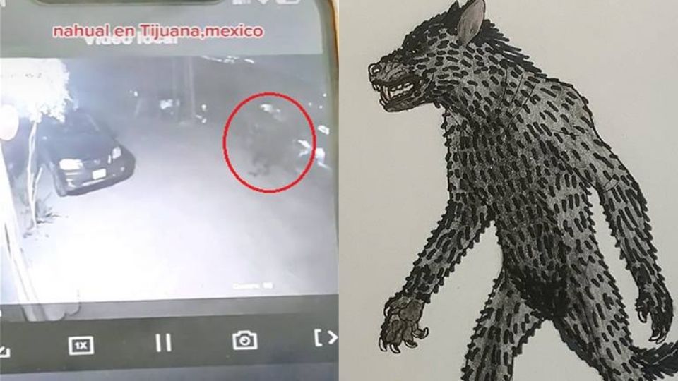 Un raro ser parece caminar por Tijuana, otros dicen que es una sombra de una persona