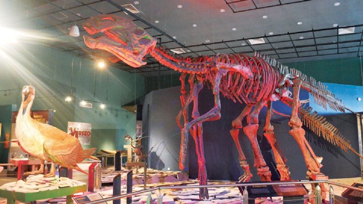 Invitan a cursos y campamentos de verano en Nuevo Laredo