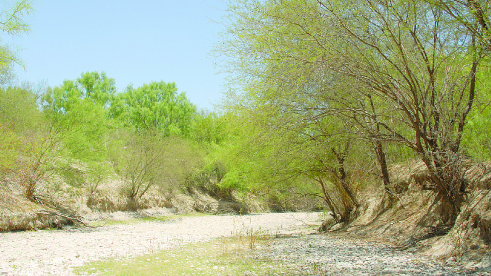 Humberto Rodríguez y José Manuel Jiménez Martínez, ambos del Ejido Nuevo Rodríguez, recorren el cauce seco del río Salado.