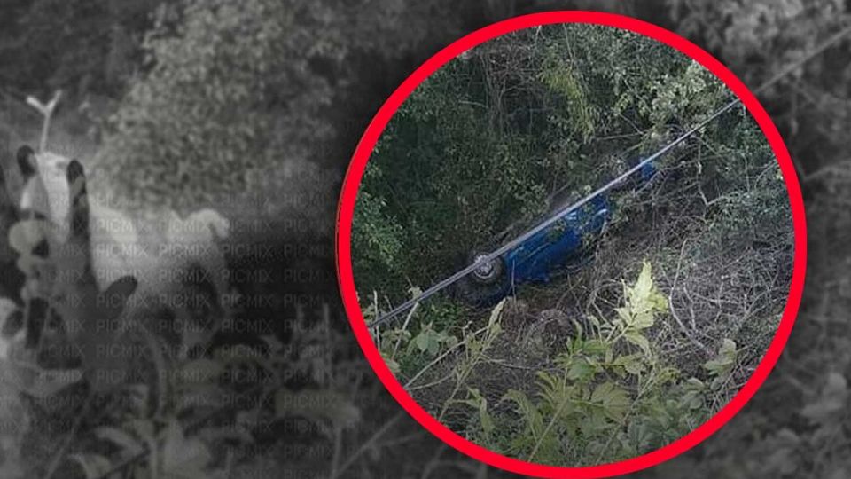 El conductor asegura que una mujer fantasma tuvo la culpa