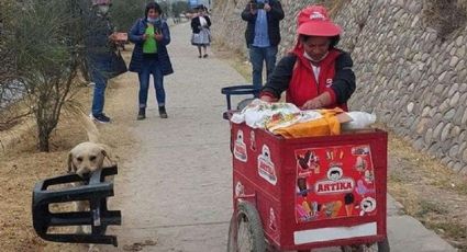 Leal amigo: Perrito ayuda a su dueña cargando su silla mientras vende helados