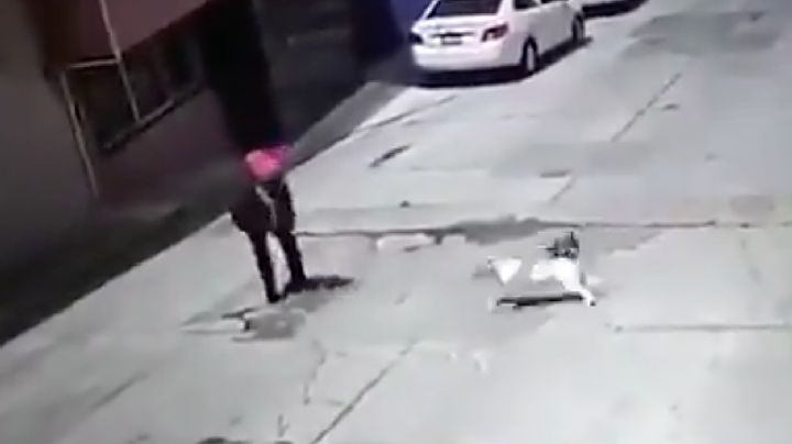 VIDEO (Imágenes SENSIBLES) Pitbull ataca a abuelita; dueño no quieren responder por las lesiones