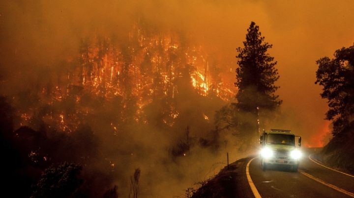 Imágenes apocalípiticas, incendios avanzan en bosques de California (VIDEO)