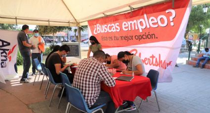 Oferta ‘Empleo en tu Colonia’ más de 700 plazas