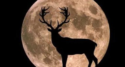 Viene Superluna de Ciervo 2022 ¿Cuándo y a qué hora verla?
