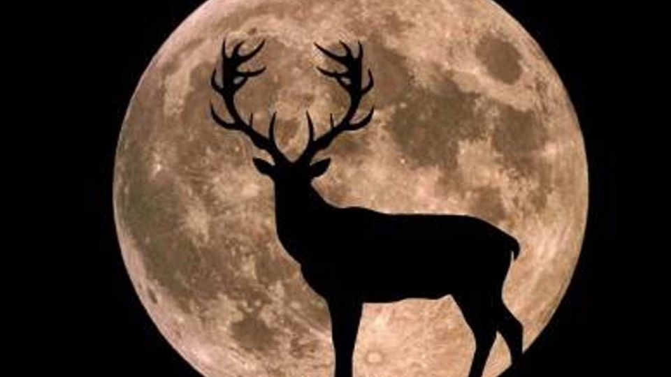 Prepara tu chamarra y tu cámara fotográfica para retratar una de las Lunas más grande de este año