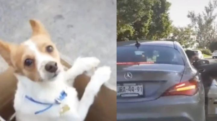 Maltrato animal: Hombre abandona a un perro y es perseguido por unos jóvenes