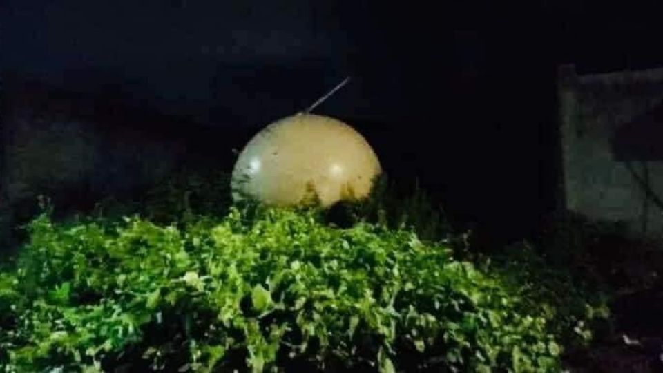 Un objeto circular y con antena cae sobre un árbol en Veracruz