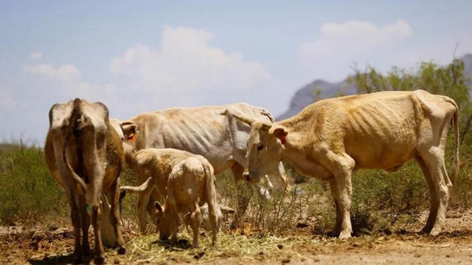 En el mes de julio las temperaturas en México alcanzaron hasta los 45 grados centígrados