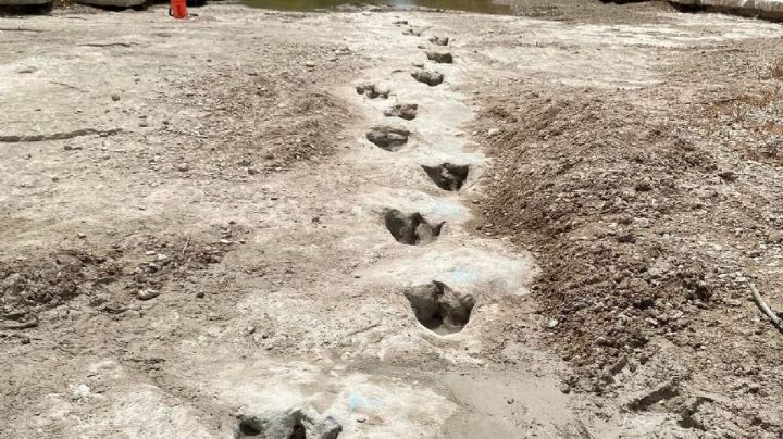 Huellas de dinosaurio son descubiertas tras grave sequía en río de Texas