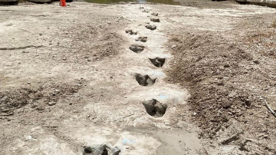 En parque, al secarse río las huellas de los dinosaurios son visible