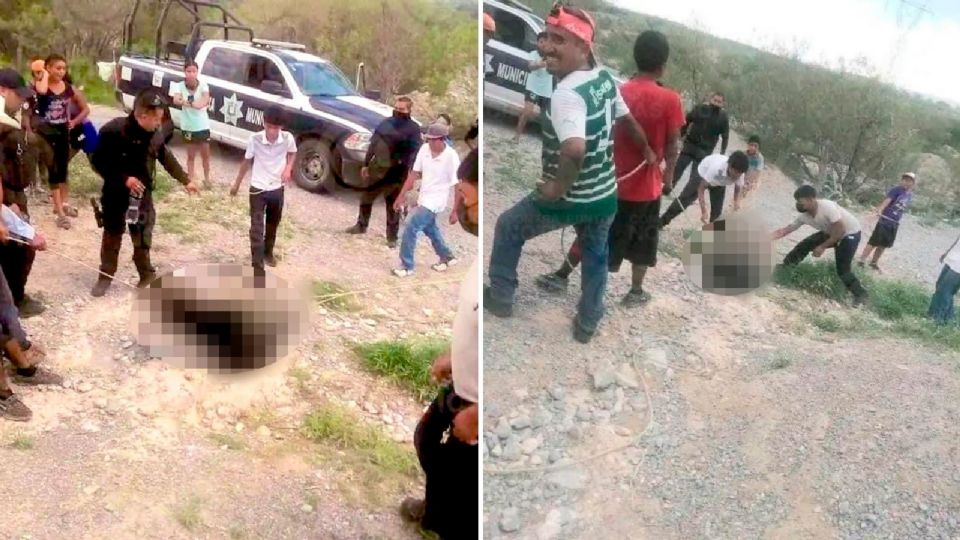 Agentes de seguridad y pobladores maniataron al pequeño animal, torturándolo hasta la muerte